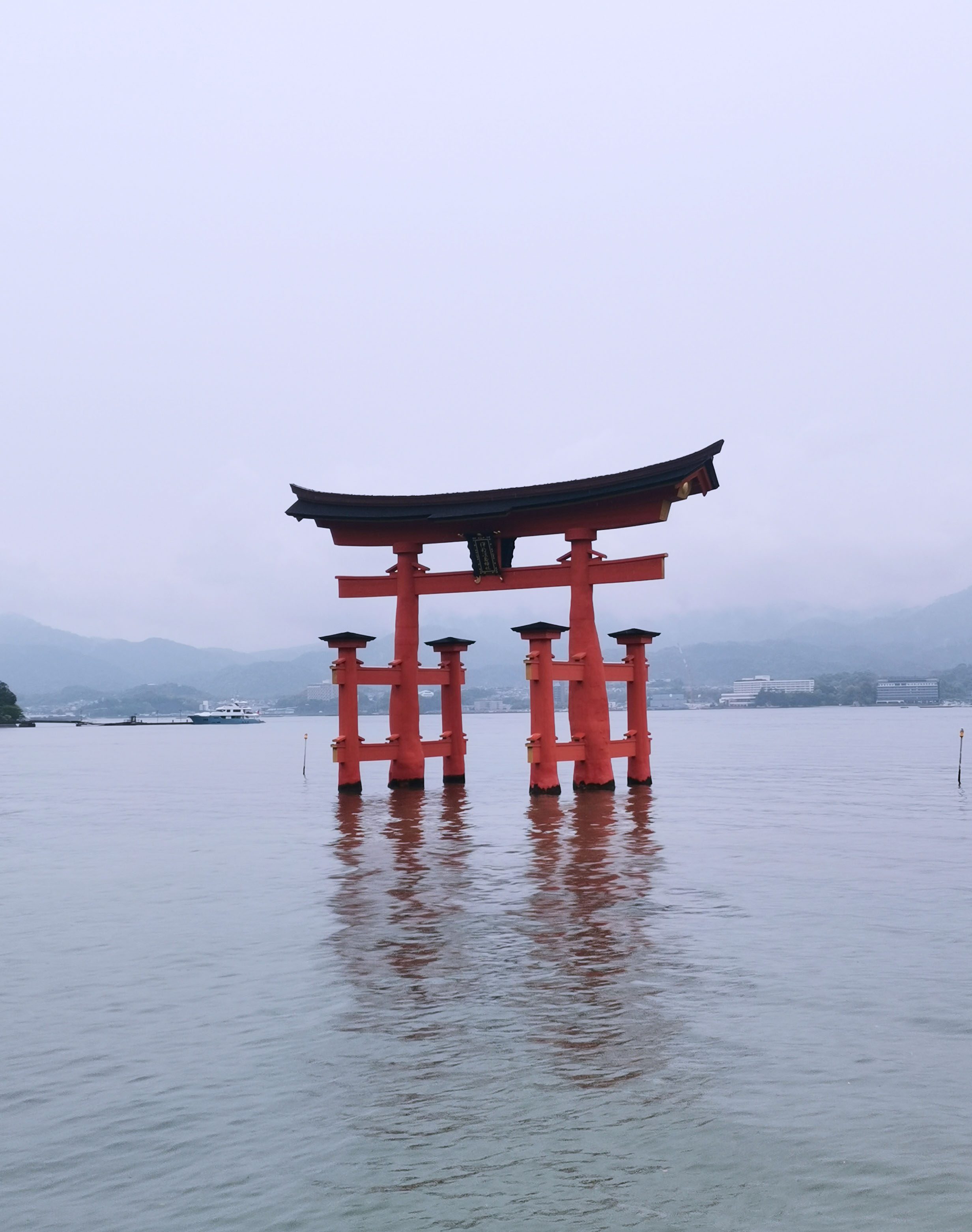 Night Bus to Miyajima: Rain, Deer, and Quiet Magic | Japan