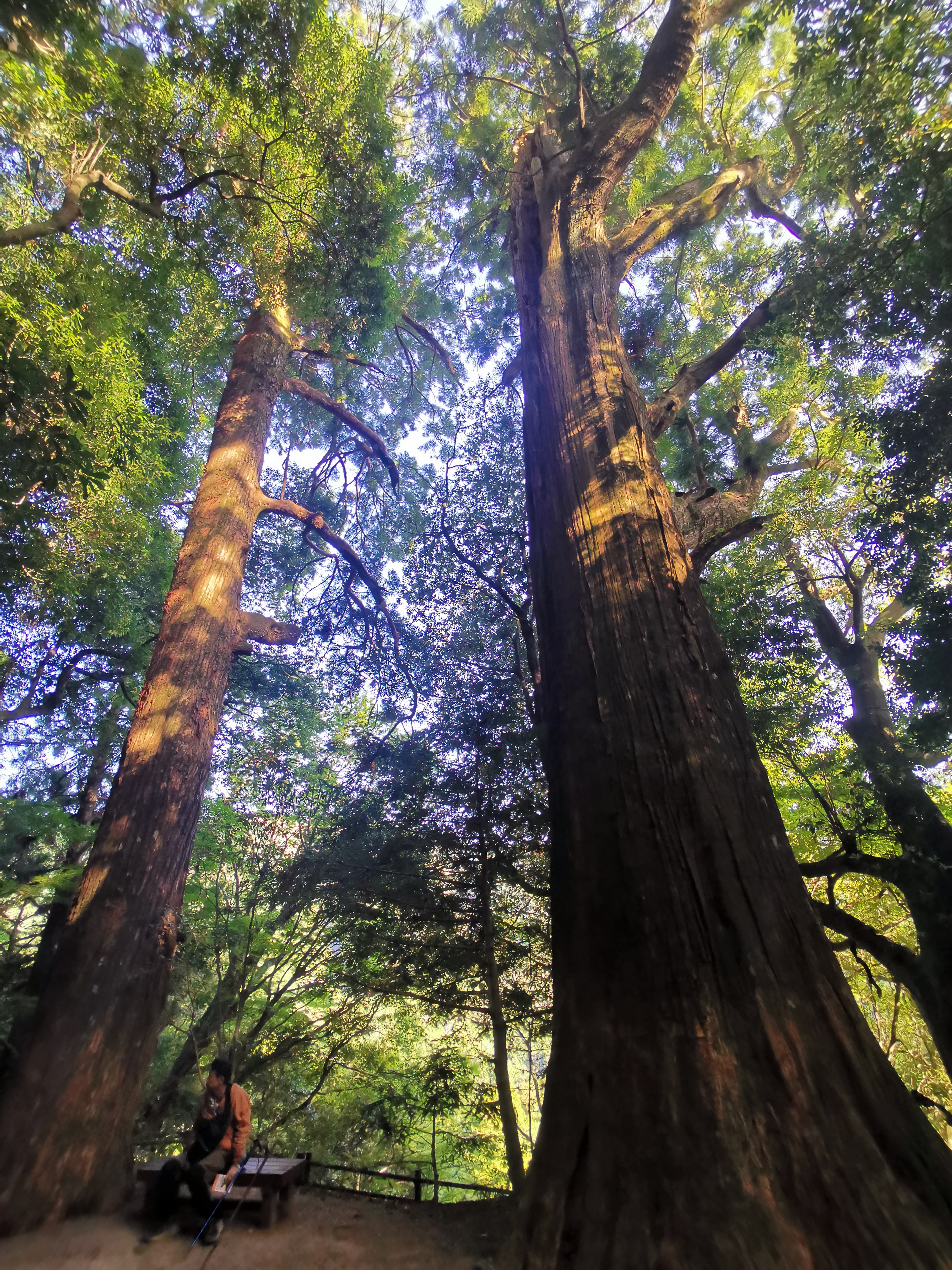 Kumano Kodo Day 2: From Takahara to Chikatsuyu – Stamps, Scenery & A Pilgrim’s Picnic | Japan