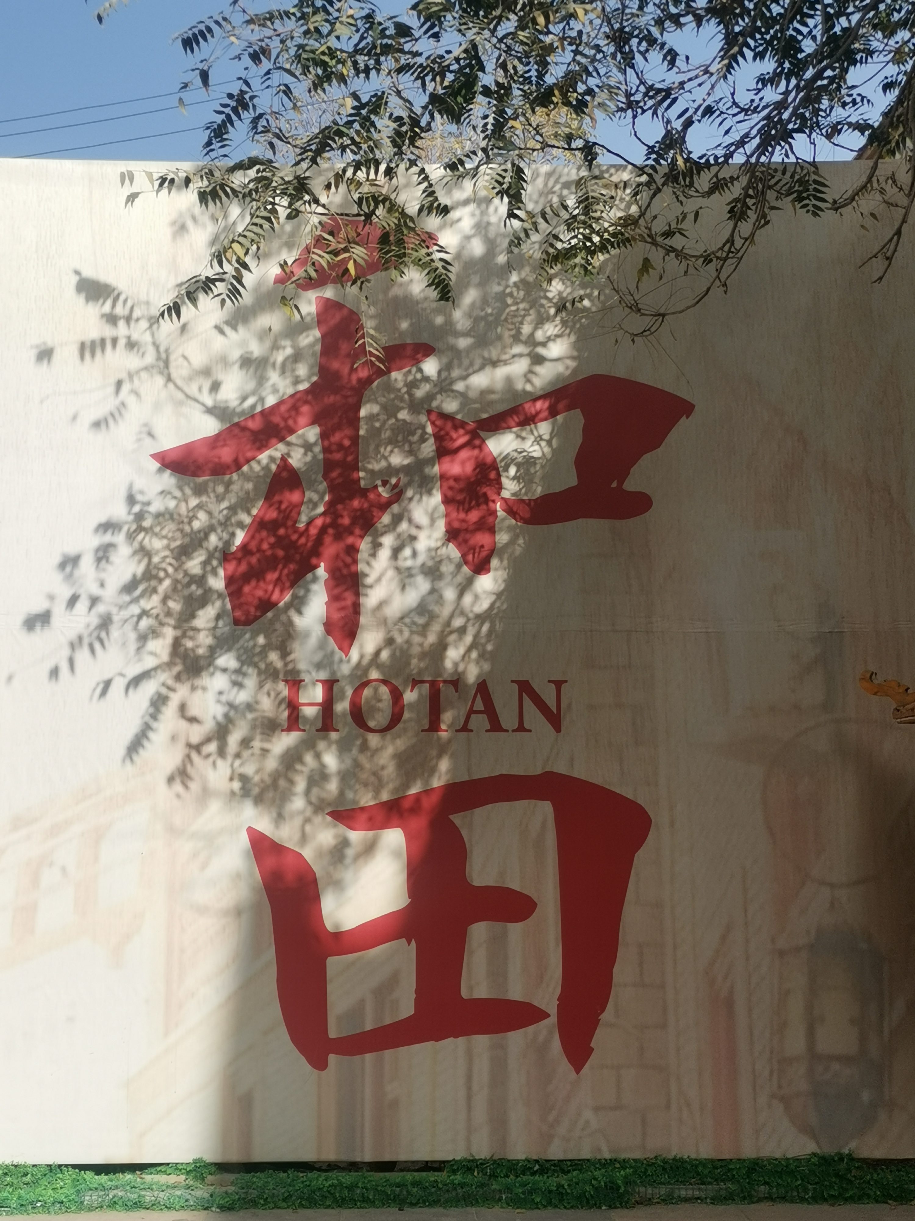 Hotan Travel Diary｜A Slow Day in Tuancheng, Silk Rugs, Friendly Cats & A Last-Minute Change of Plans