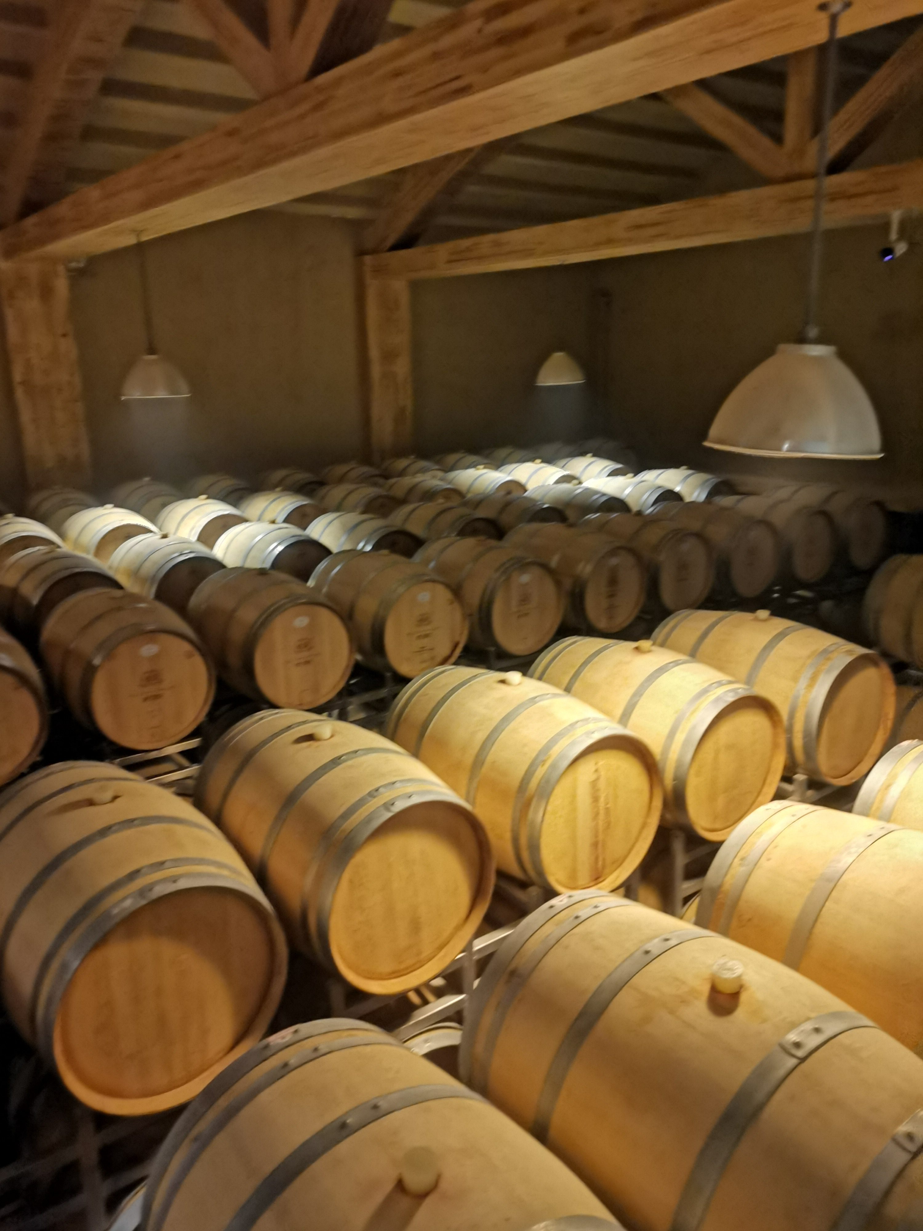 `From Shanshan to Turpan: Dinosaurs, Wineries, and Jiaohe Ancient City|Xinjiang From Shanshan to Turpan: Dinosaurs, Wineries, and Jiaohe Ancient City|Xinjiang