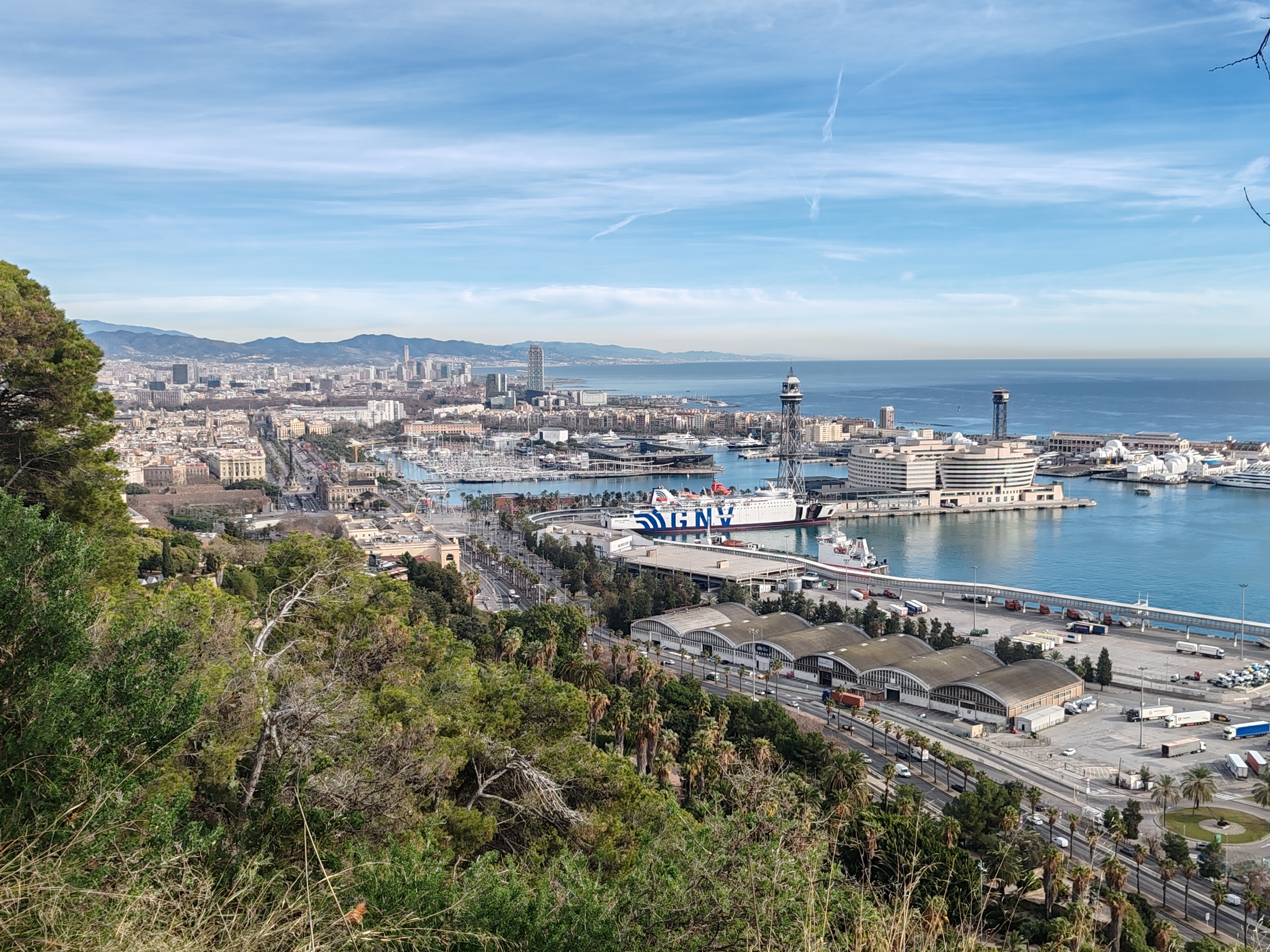 Barcelona City Walk: Montjuïc Hills to Sagrada Família