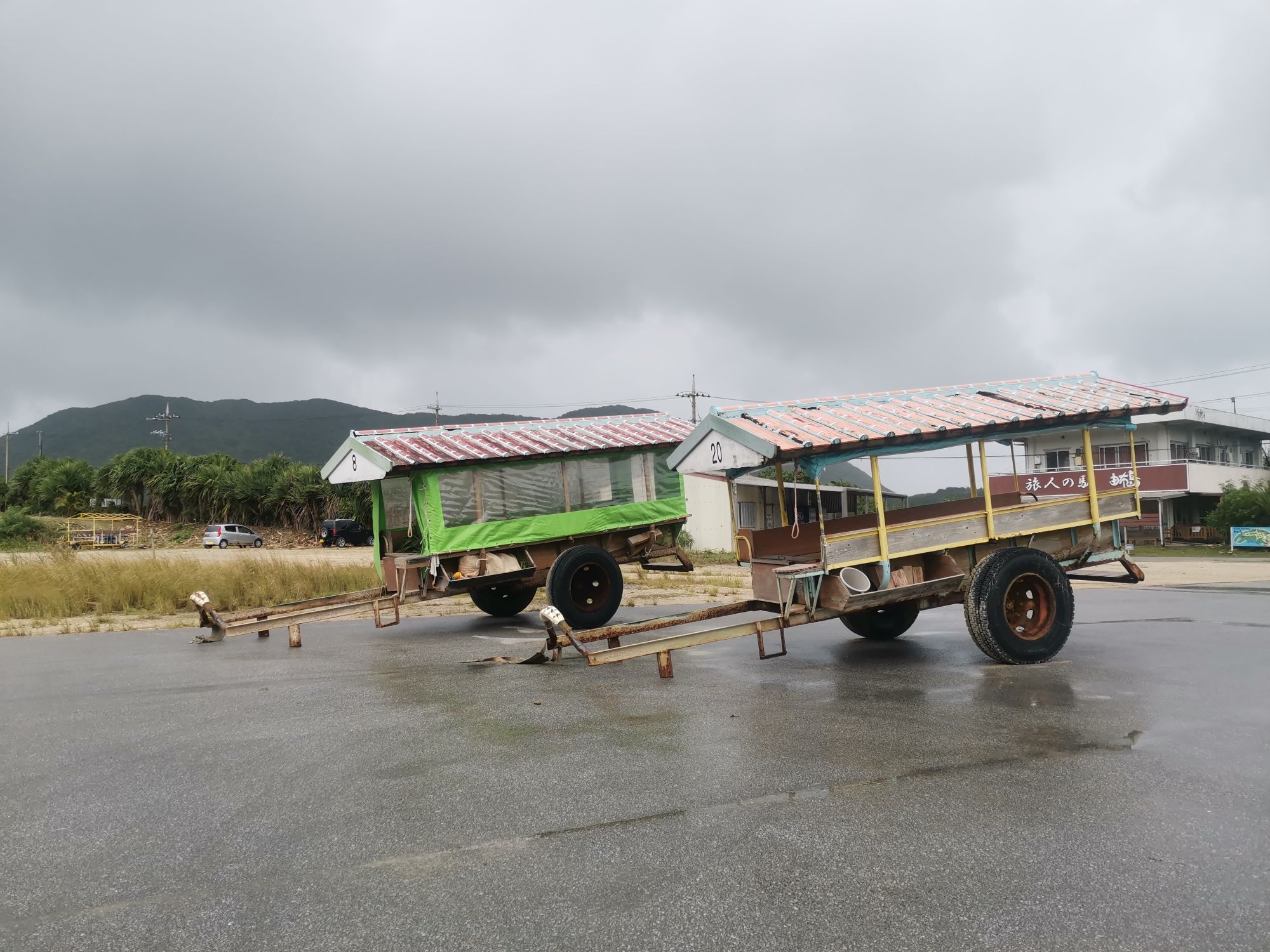 西表岛暴风雨的一天：当风、雨与现实接管一切