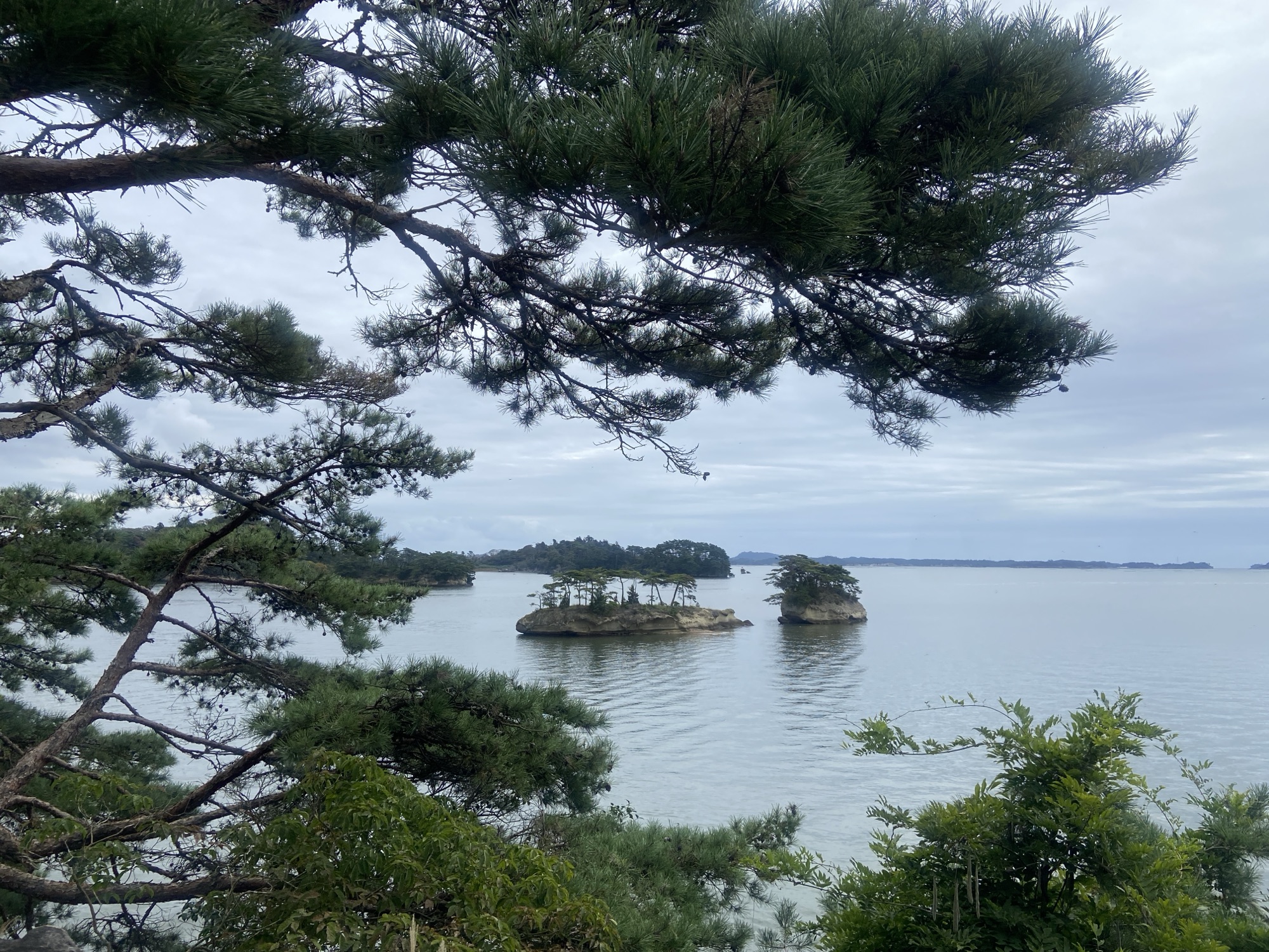 Matsushima Bay Day Trip: Oshima, Zuiganji, Oysters and Rain